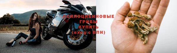 apvp Абинск
