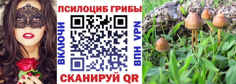Галлюциногенные грибы Magic Shrooms  ОМГ ОМГ ссылка  Власиха  купить наркотик 