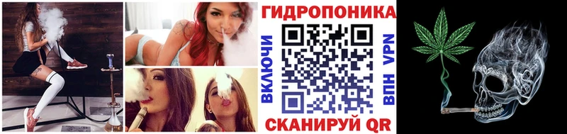 магазин  наркотиков  площадка официальный сайт  Бошки Шишки планчик  Власиха 